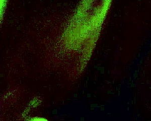 Guy endures 9 minutes of blowjob without cumming in gay scene