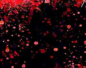 إكس روليت نهاية مشهد شفوي