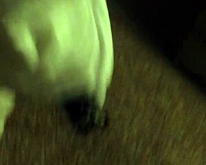 amateur wife passionately gives blowjob and ass licking in homemade video