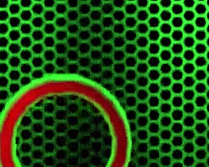 Pervy Philly John Ass Packs