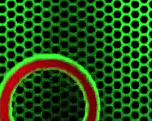 Want to see my big clit while I ride this teddy bear?