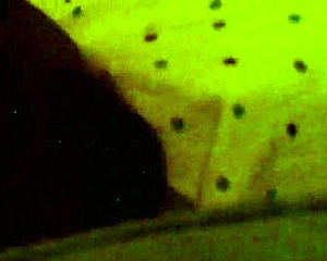 amber crider, why do you cheat as a fat ass bitch getting fucked and cumshot?