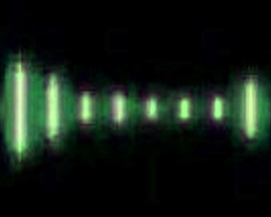 black tgirls enjoy thursday with rose