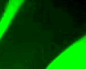 A bit of some videos in public outdoor settings.