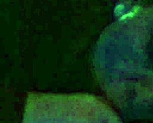 amateur gives a deepthroat blowjob like a pro