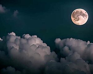 Nerdy Girl Possessed By Demon Fucking Bitches!