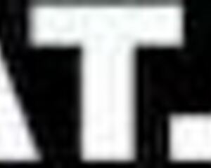 She WillCheat- gripping my wife’s hair as she sucks another man’s cock in secret