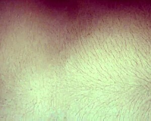 Indian Bhabi Beautiful Pussy Fast Fuck