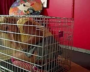 Dominating scott rhodes makes maxine x suck