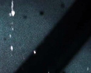 Tgirls Porn A Perfect Match