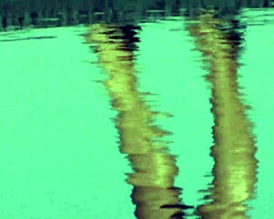 Hot Chick Giving Hot Blowjob And Anal Sex Vol 03