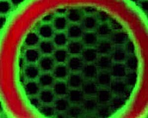 costumed blonde vicky vette drilling her holes with sex toys outdoor!