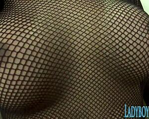 i’m totally into ladyboy peemai showing off solo in a steamy thai transsexual scene