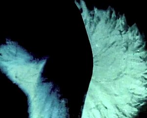 Dark Lantern Entertainment Unveils Two Centuries Of Hairy Vintage Milf Action