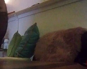 Is this Latino shemale ready to unleash her big cock and monster transsexual prowess?