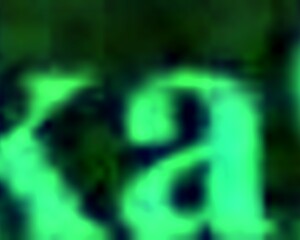 Tokishikko Dana's Intense Adventure in Immoral Guild Hentai