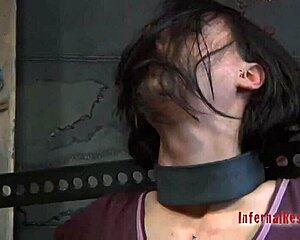 Episode 005 in the series