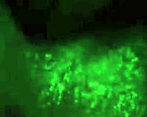 Man, I swear this sexy girl deserves warm cum all over, ya know, in hot 3D sex!