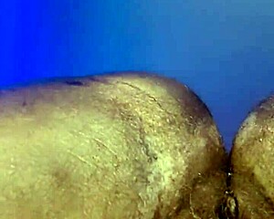 Wow, entering my girlfriend's hairy pussy feels insane!