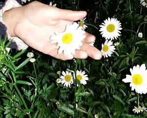 Intimate Sex With Housekeeper In Garden Leads To Intense Orgasms.