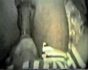 ever seen vintage homosexuals like this? get me a man to frig now!