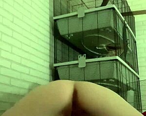 This horny piss play on the sofa involves gay guys with tattoos and wet asses.