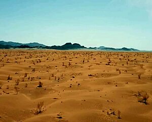 Top 5 countries with the loudest stomach rumbles?