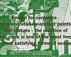 Gaysex Book 1 unfolds with steamy blowjobs leading to wild action. Every scene builds to raw, intense finishes!