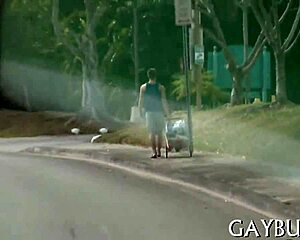 Fellows Having Homosexual Sex