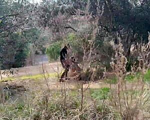 Damn! Miss Alessandra Screws Jesus Reyes in Open Field!