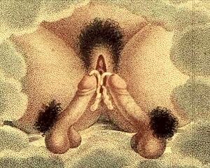 Vintage Erotic Drawings That Capture Classic Charm