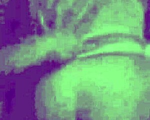 hot wife tries shame and moans nicely