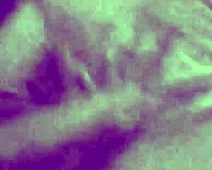 hot wife tries shame and moans nicely