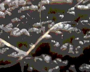 Latina beauty experiences deep emotional connection through intimate latin-inspired ball play