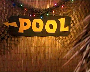 hey, ever seen jack frost 2 with a sexy nude asian at the pool?