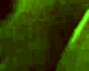 dude, i’m hooked on fortnite assfucking n blowjob clips.. best compilation ever, can’t stop watchin!