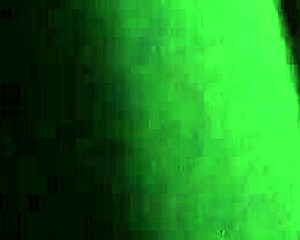 Is This Beautiful Prostitute Worth It?