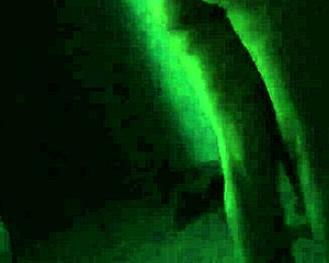 Is This Beautiful Prostitute Worth It?