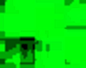 Is This Beautiful Prostitute Worth It?