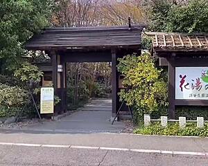 Sakura Enjoys Hot Springs Relaxation with Nacchi