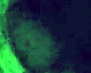 Early Morning Passion Ignites Despite Sleeping Boyfriend