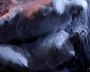 A couple is taken by aliens to be part of a live intergalactic porn show