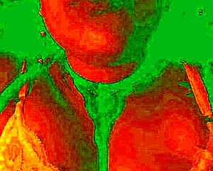 The exotic bluee shows her face of pleasure.