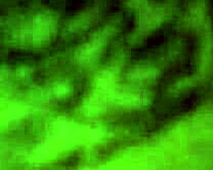 Keven And Elba Share Rich Anal Sex Creampie