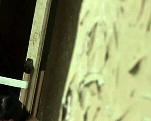 Young Cocks Explorer Dives Into Orgy Assfucking Cumshot