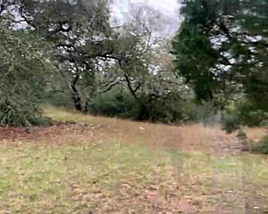 hot sex at a rest stop with big cock anal