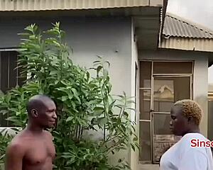 Harvesting fruit from a special tree is nothing