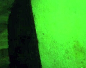 christy red gives a deep blowjob