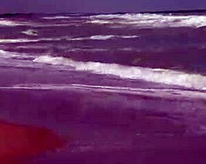 Sexy teen Agnes bathes in the ocean