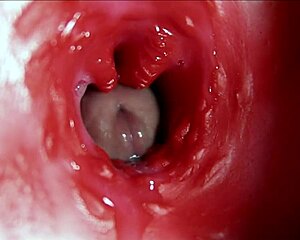 wanna see huge orgasm inside with epic moans?